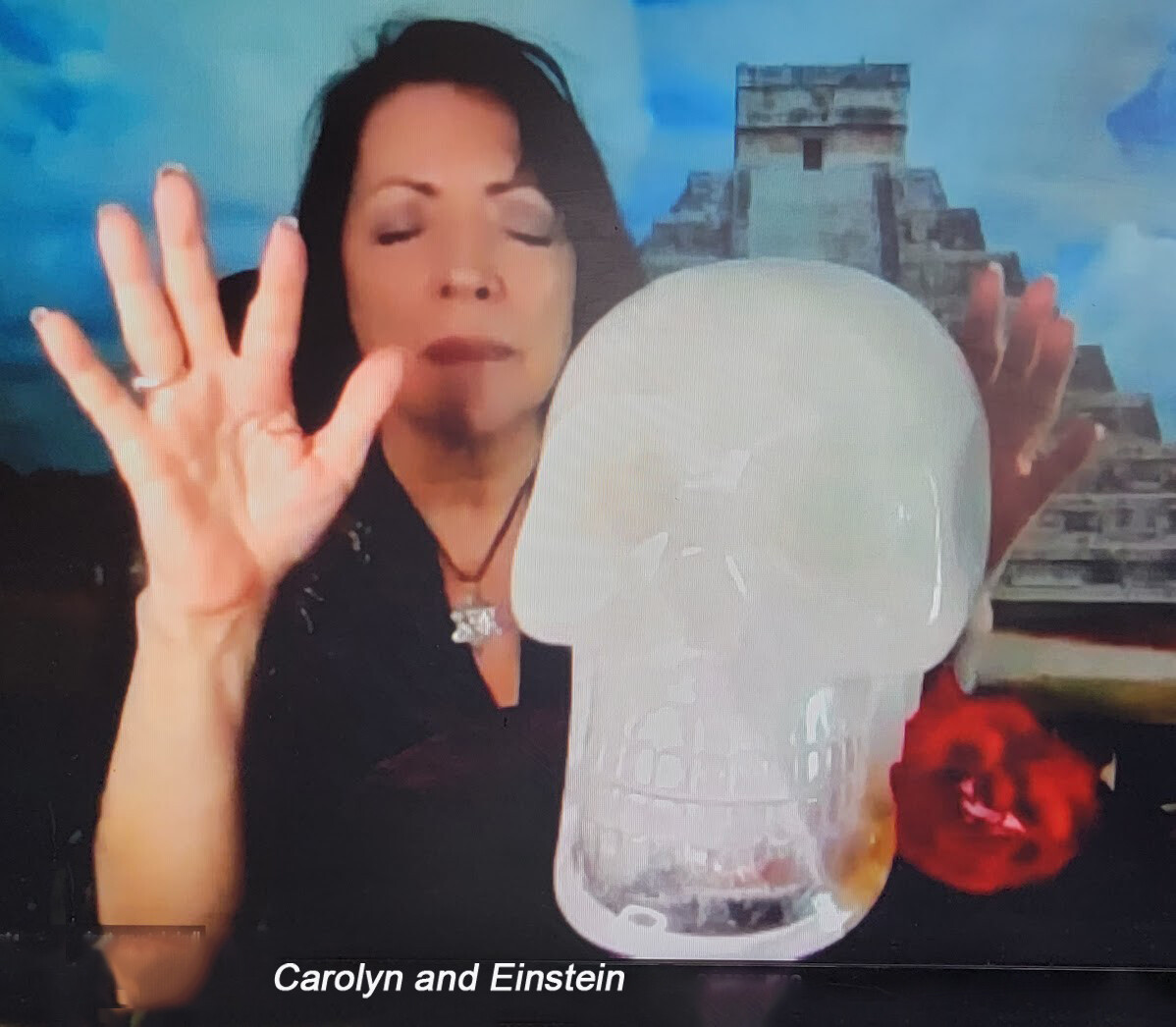 ZOOM Session with Carolyn Ford and Einstein the Ancient Crystal Skull - 60 Minute Session