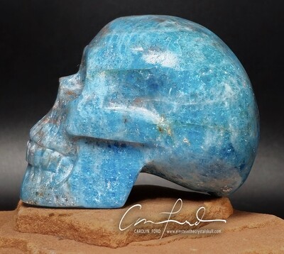 APATITE (Blue) Skull,  Einstein the Ancient Crystal Skull Imprinted, 