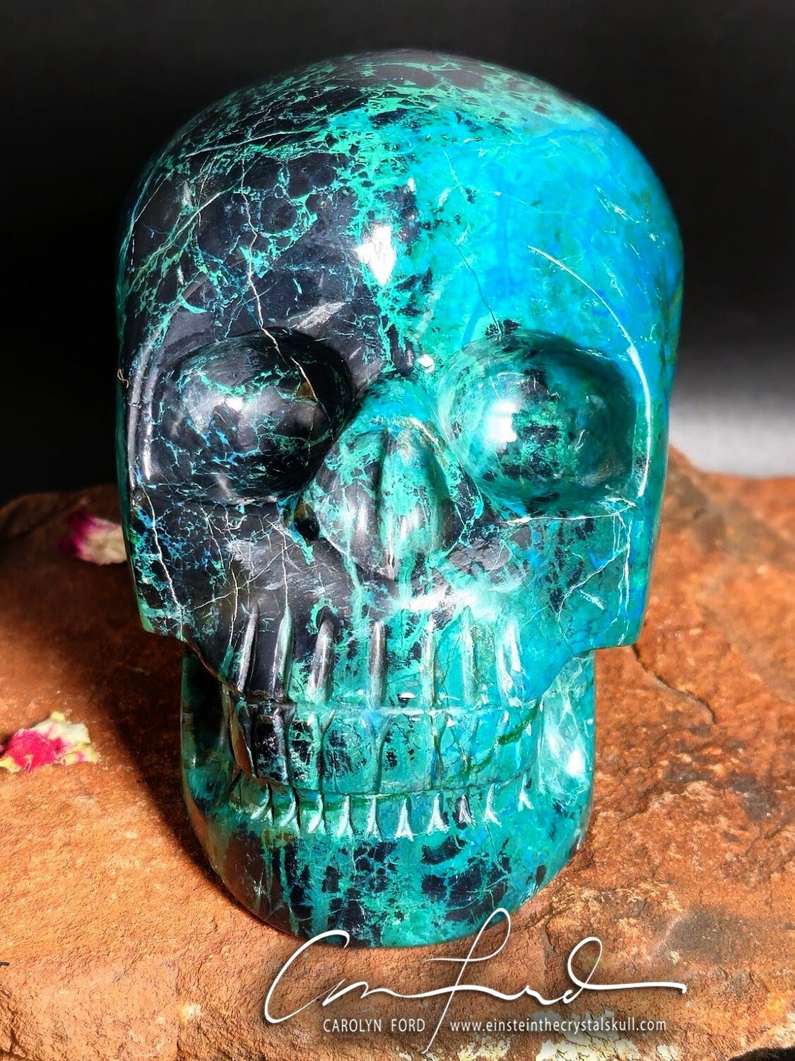 CHRYSOCOLLA  Skull, Einstein Imprinted,  "MOANA"