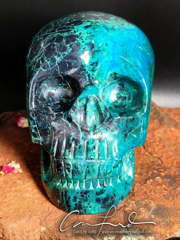CHRYSOCOLLA  Skull, Einstein Imprinted,  "MOANA"