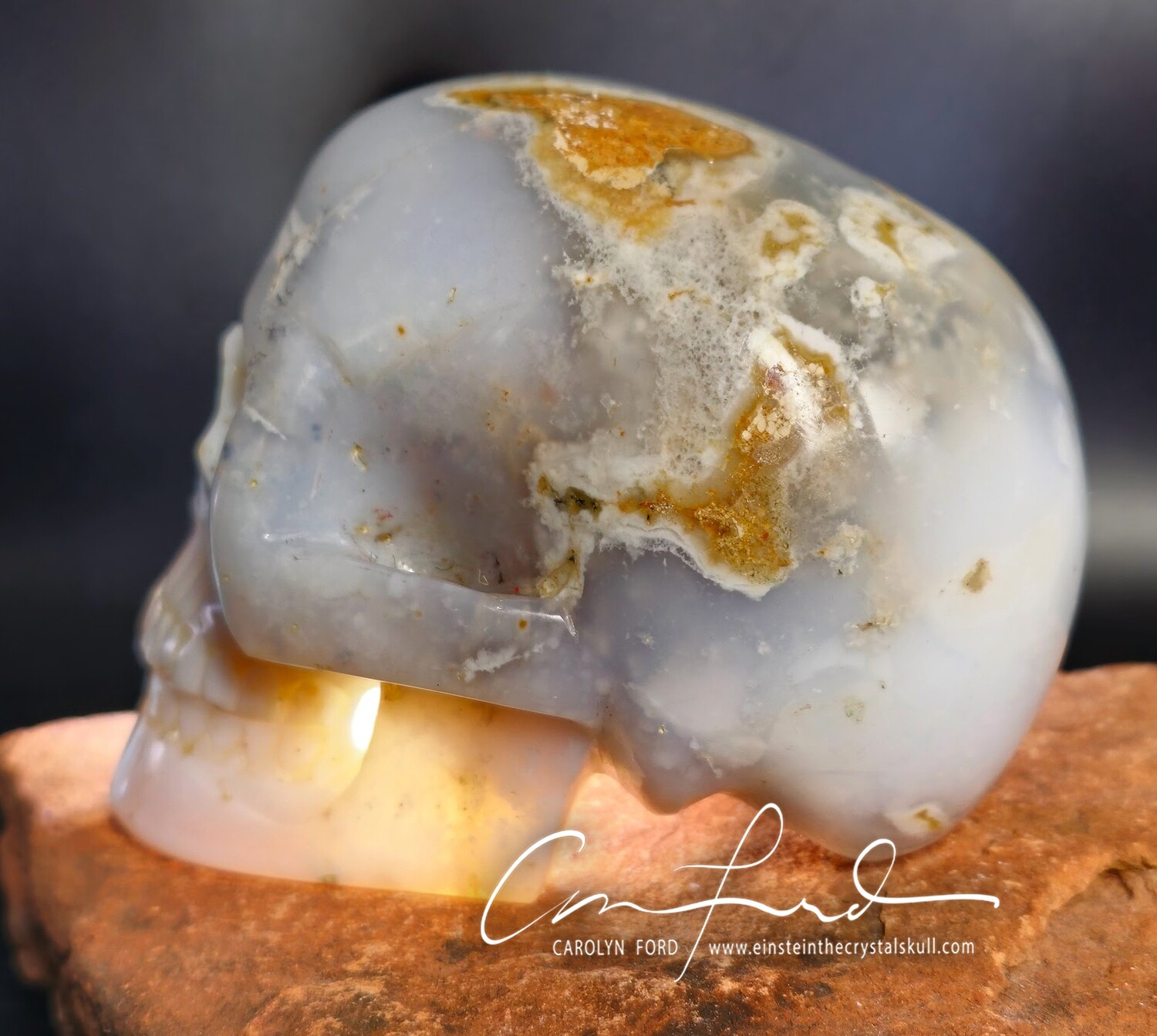 Agate w/ Chalcedony and Dendrite, Einstein the Ancient Crystal
Skull Imprinted 