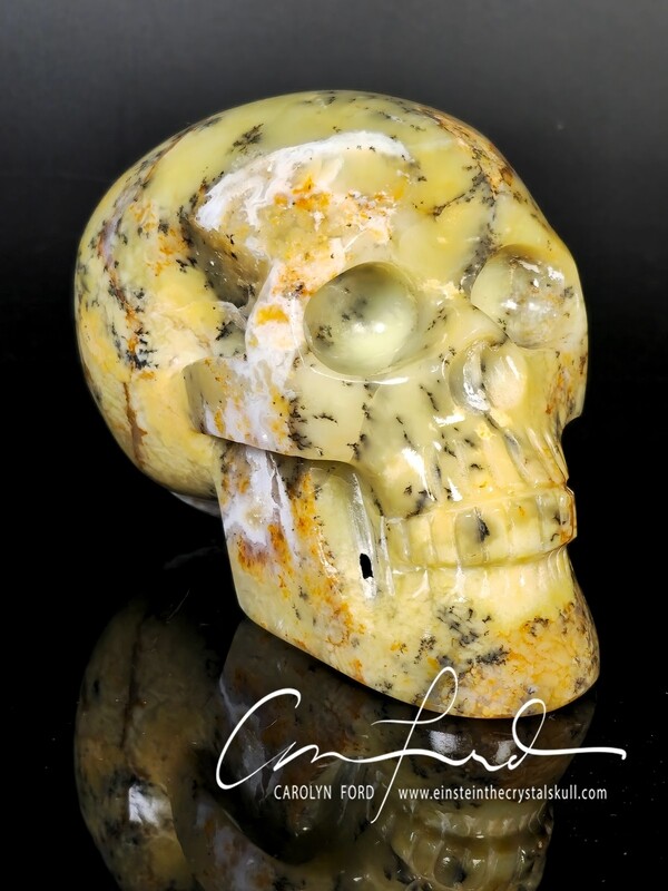 "Golden Dendritic Opal", Skull, Einstein Imprinted,  "ASHRAM"