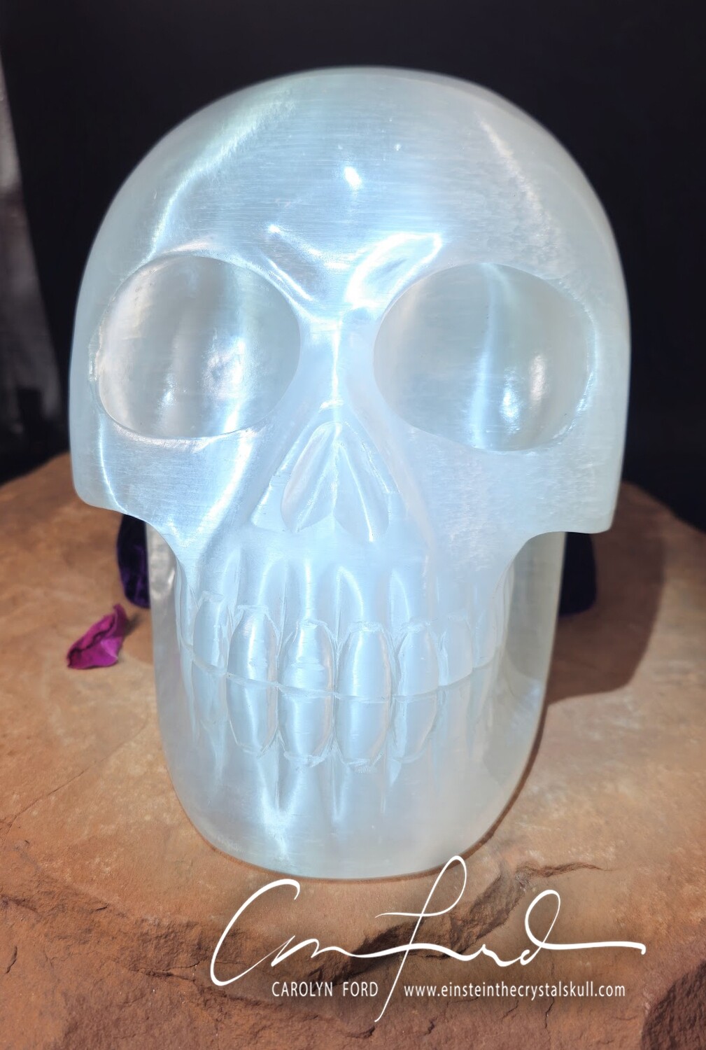 Selenite "Super BABY EINSTEIN" Skull, Einstein Imprinted, "FABIENNE"
