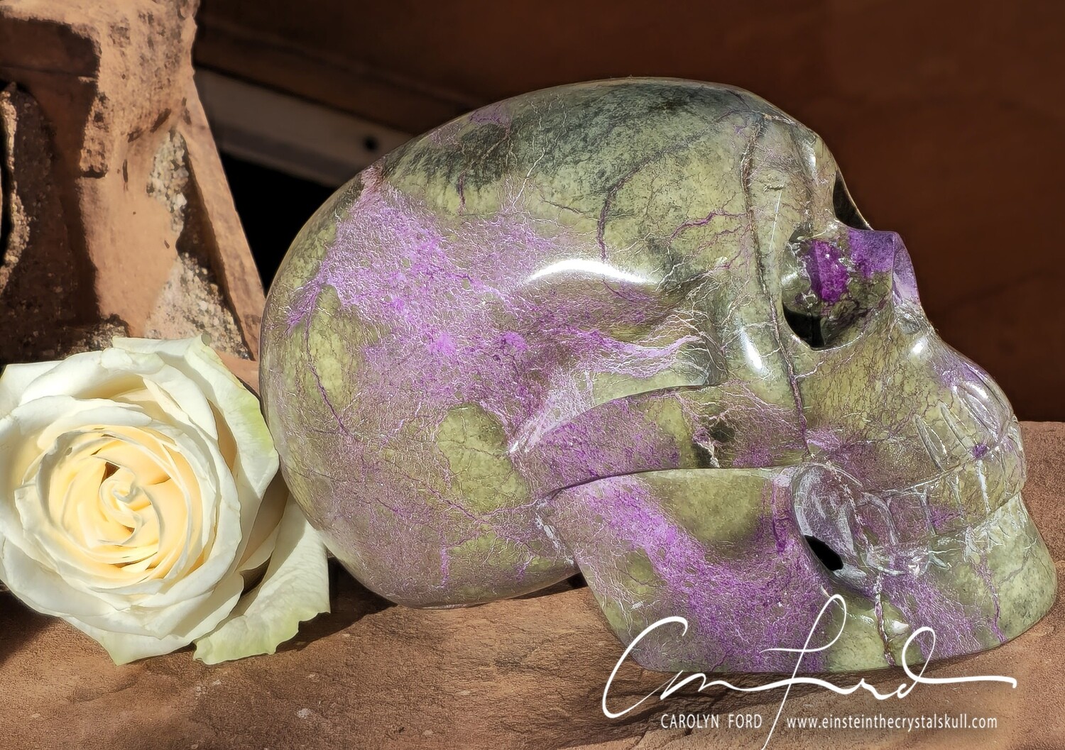 Atlantisite - Einstein Imprinted Skull, "SORAYA"