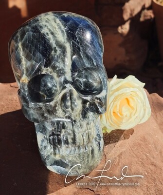 GREY MOONSTONE Skull, Einstein Imprinted, 'BRANWEN'