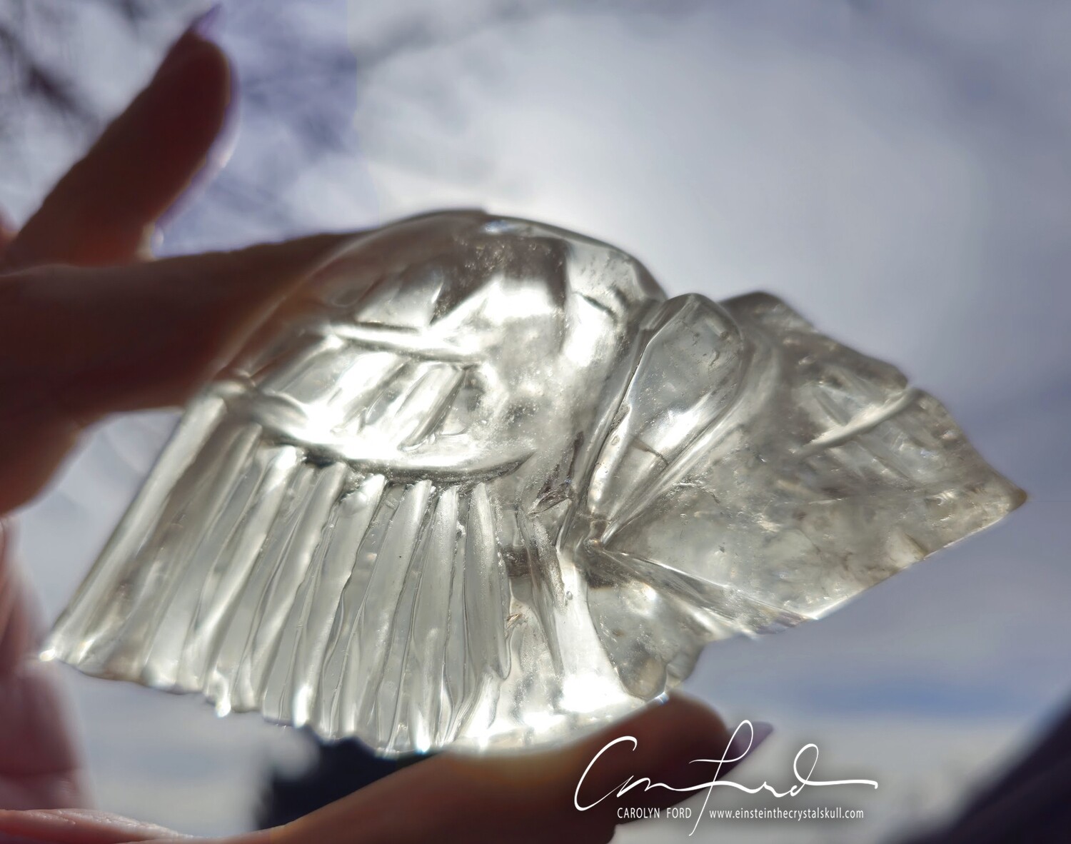 Winged Brazilian Clear Crystal Skull, Einstein Imprinted, 