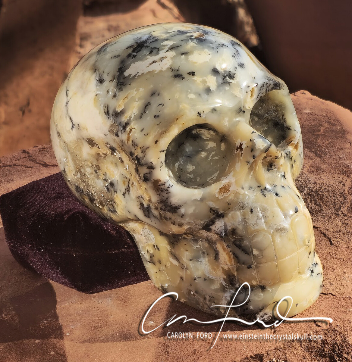 "Baby Einstein ~ Dendritic Opal Skull, Einstein Imprinted, "FRANNY BEE"