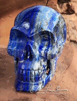 Lapis Lazuli Skull EINSTEIN Imprinted, 