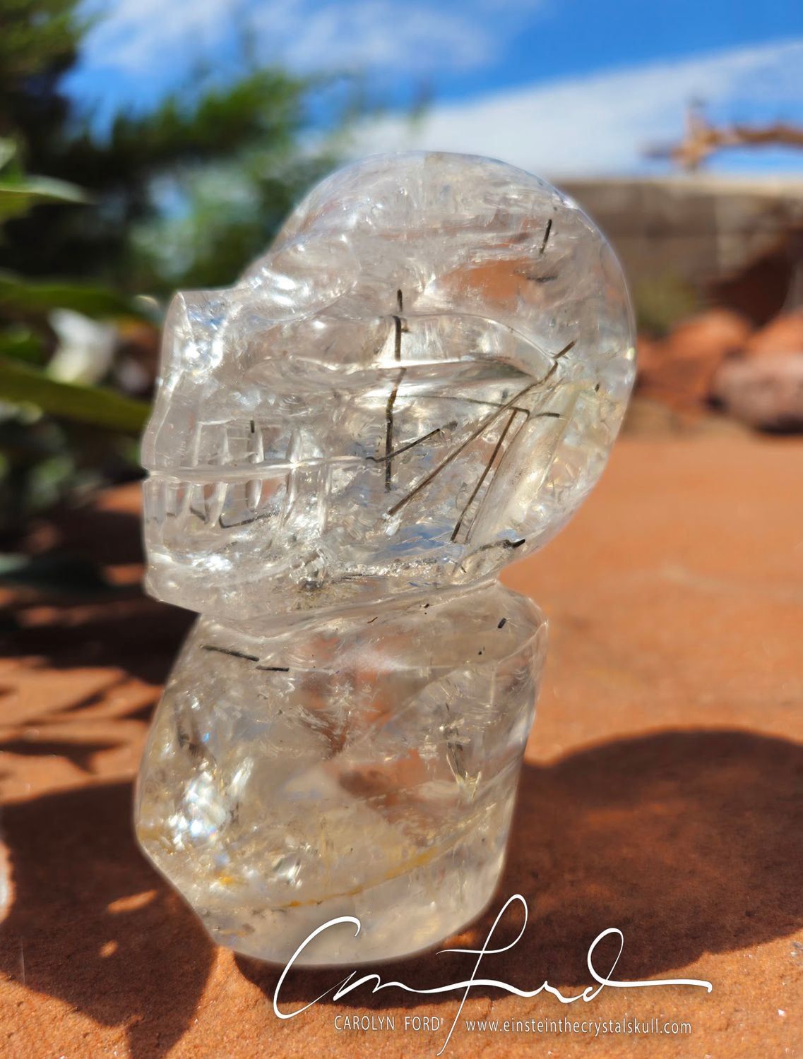 Rutilated  Quartz Crystal Skull,  Einstein Imprinted,  "Harley "