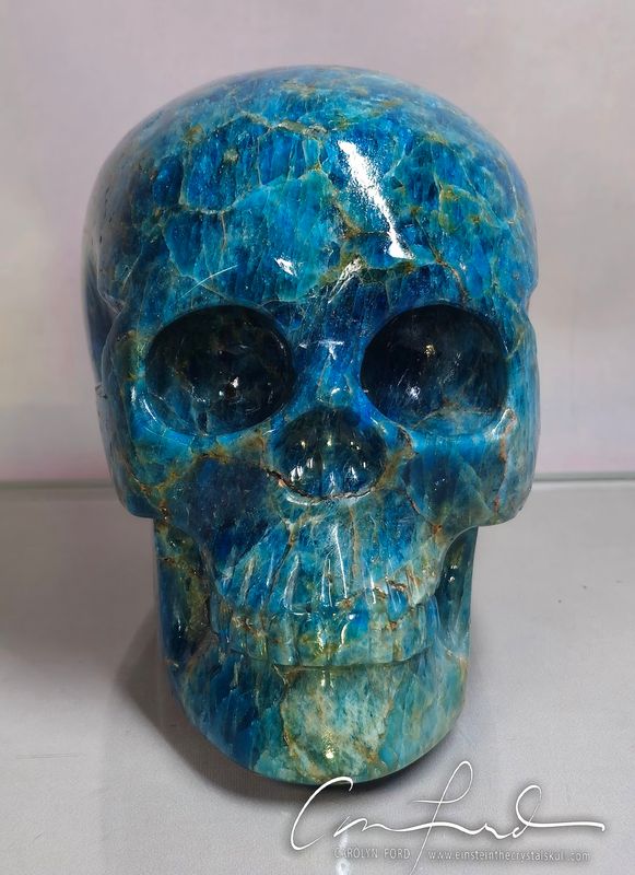 APATITE (Blue) Skull,  Einstein the Ancient Crystal Skull Imprinted, "OSHUN"