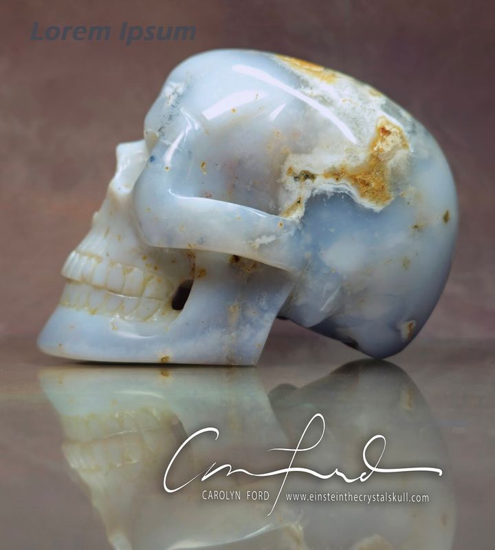 Dendrite Agate w/ Chalcedony.  Einstein the Ancient Crystal  Skull Imprinted "HEART SEANCE".