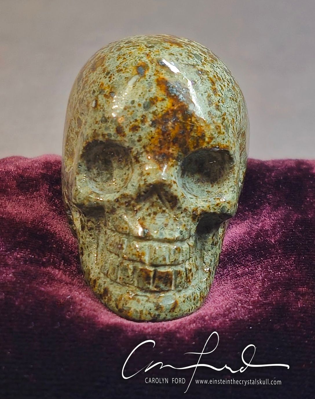 METEORITE,  L6-Chondrite from Lybia. Einstein Imprinted Skull, "NOVA"