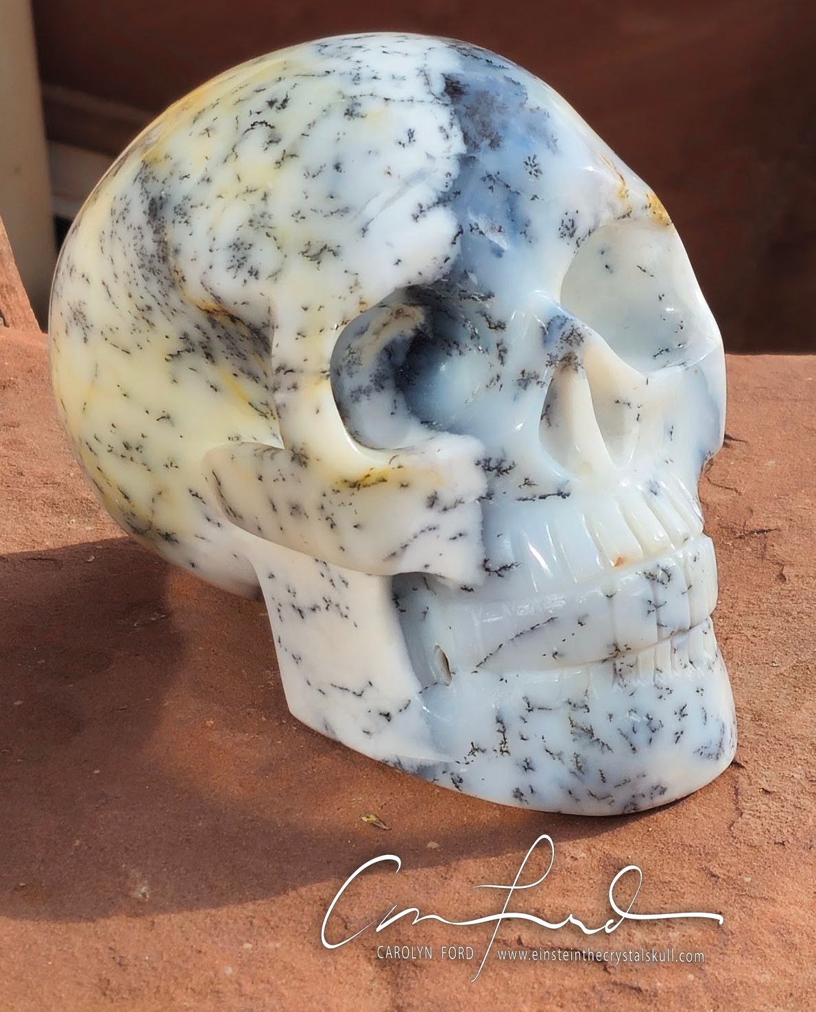 Dendrite Opal, "SWAN", Einstein Imprinted.
