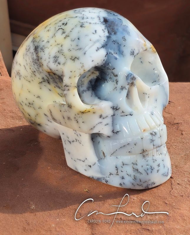 Dendrite Opal, "SWAN", Einstein Imprinted.