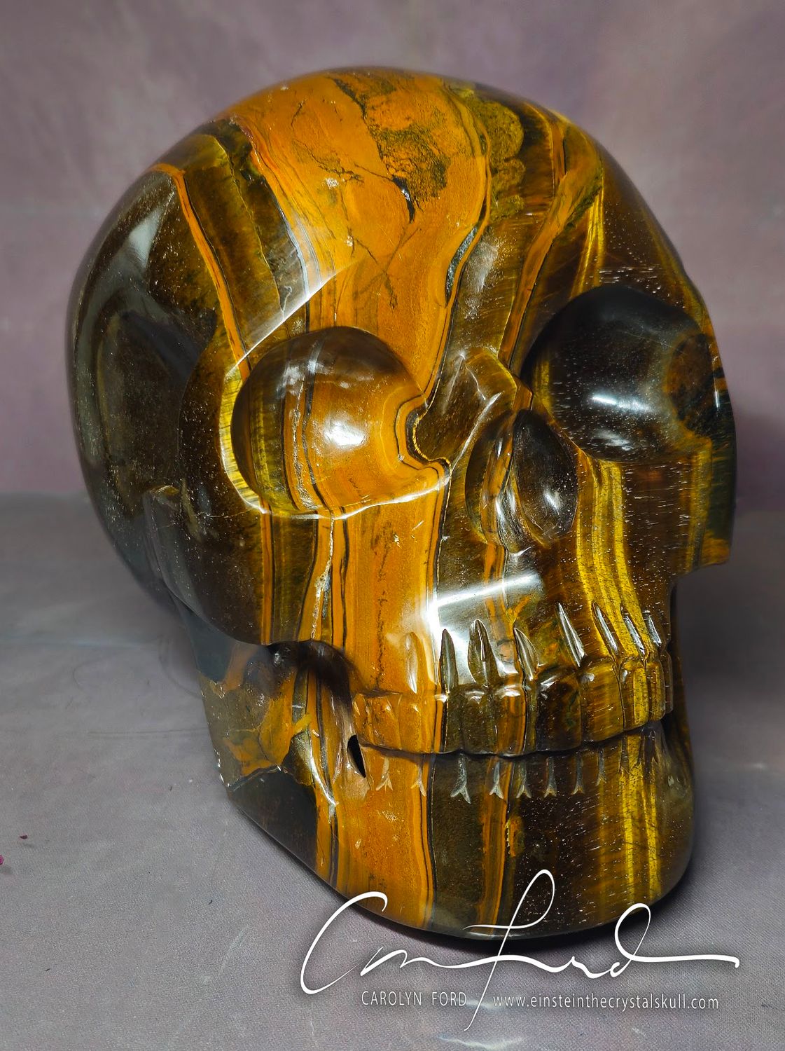Tiger Eye Skull, Einstein Imprinted Skull "BEAMER"