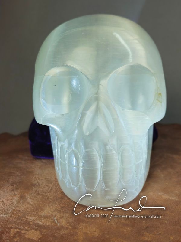 Selenite "Super BABY EINSTEIN" Skull, Einstein Imprinted, "WHITE TARA"
