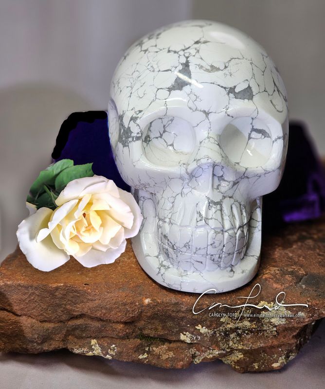 HOWLITE, Baby Einstein Imprinted Skull "White Raven"
