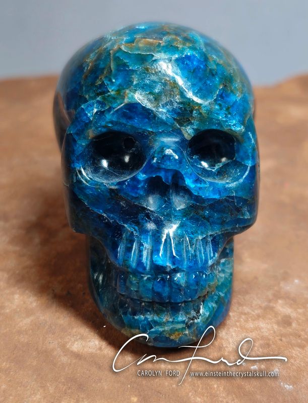 APATITE (Blue) Skull,  Einstein the Ancient Crystal Skull Imprinted, "OCEAN FAIRIE"