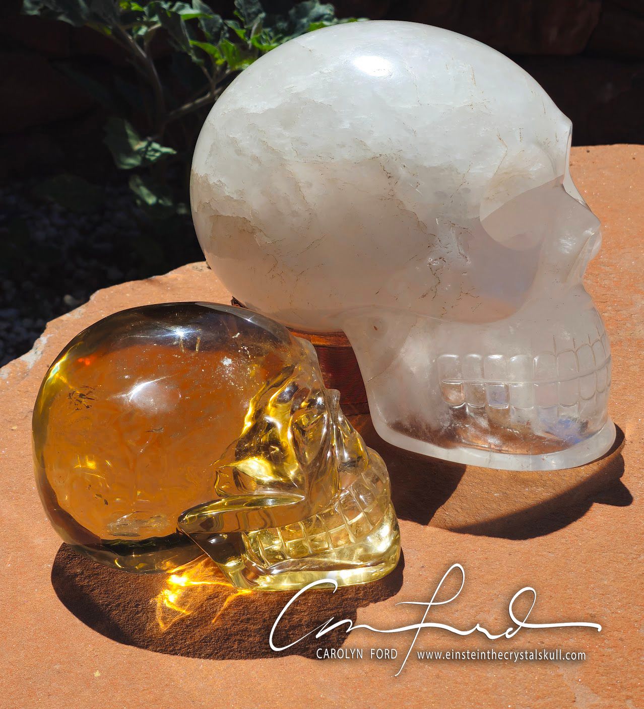 Citrine "RA " the Sun God, Master Skull,   Einstein Imprinted,