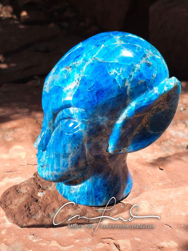 APATITE (Blue) Alien Hybrid Skull,  Einstein the Ancient Crystal Skull Imprinted, "KAILANI"
