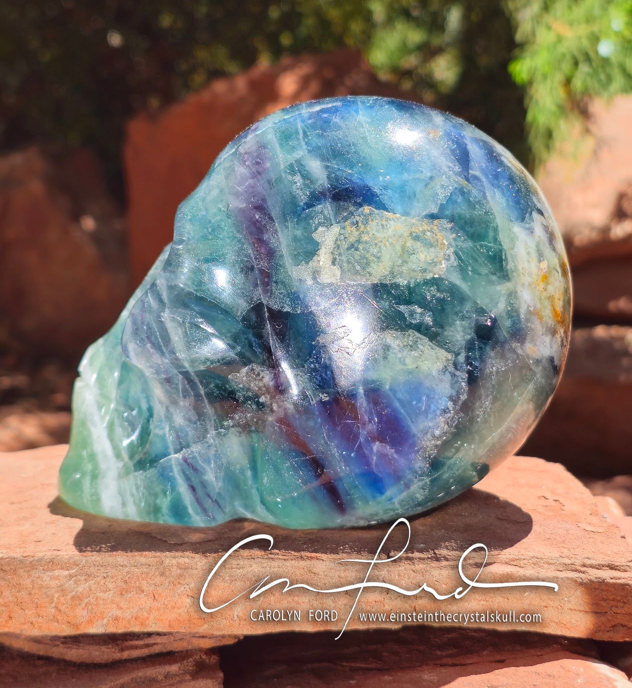 Green, Violet and White Fluorite , Einstein Imprinted Skull "COSMO"