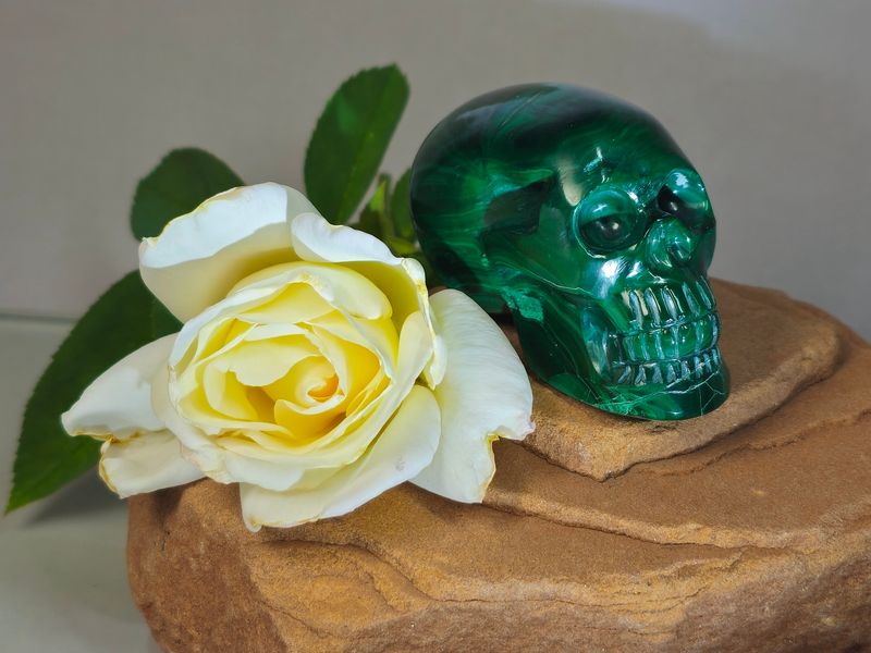 MALACHITE / Skull Einstein Imprinted ~ "SIERRA"