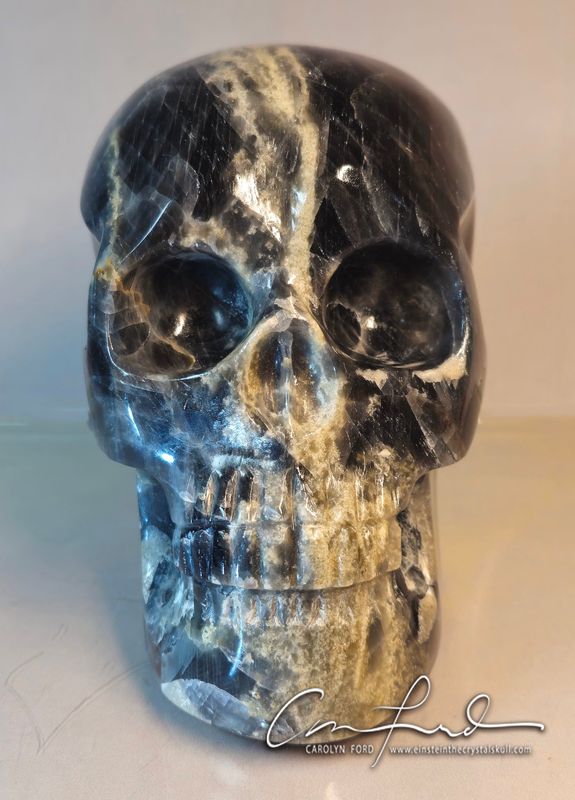 GREY MOONSTONE  Skull, Einstein Imprinted,  'PHENICIA'