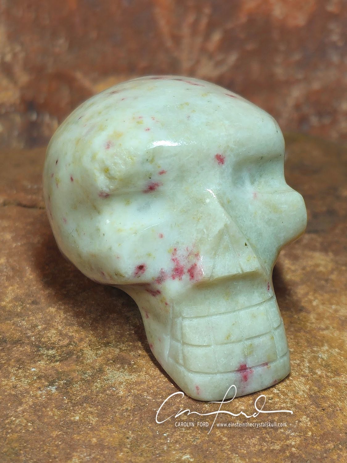 CINNABAR Skull, Einstein Imprinted "SHEELA"