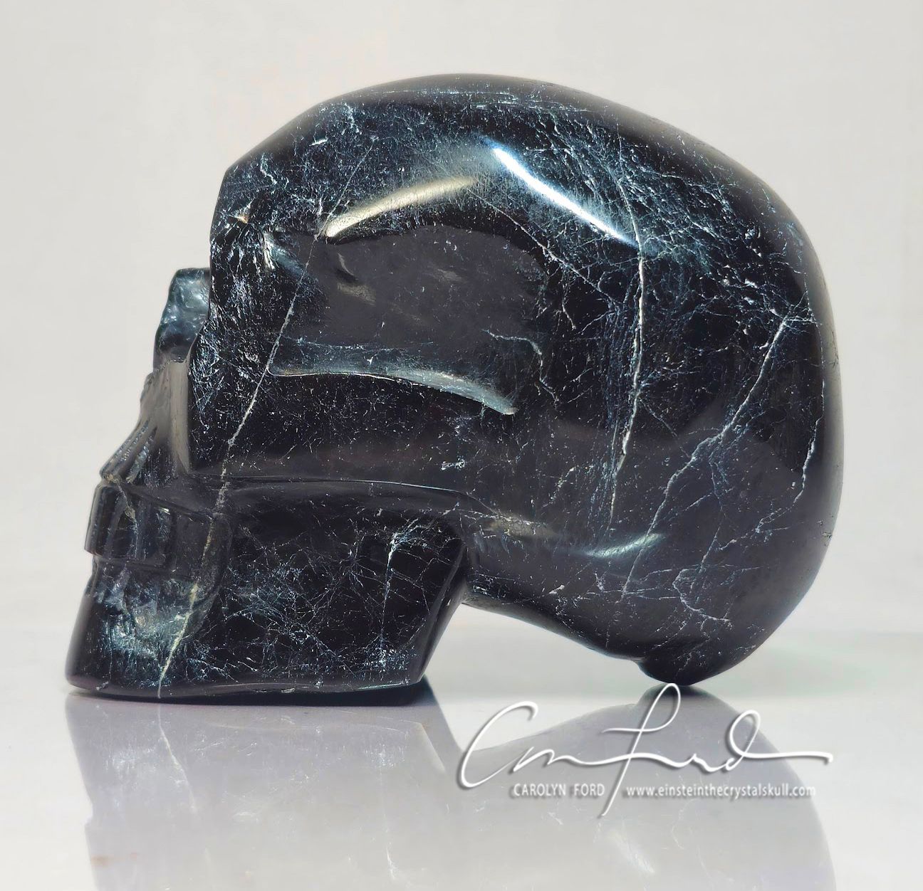 BLACK TOURMALINE, Einstein Imprinted Skull - The "SIRIAN"