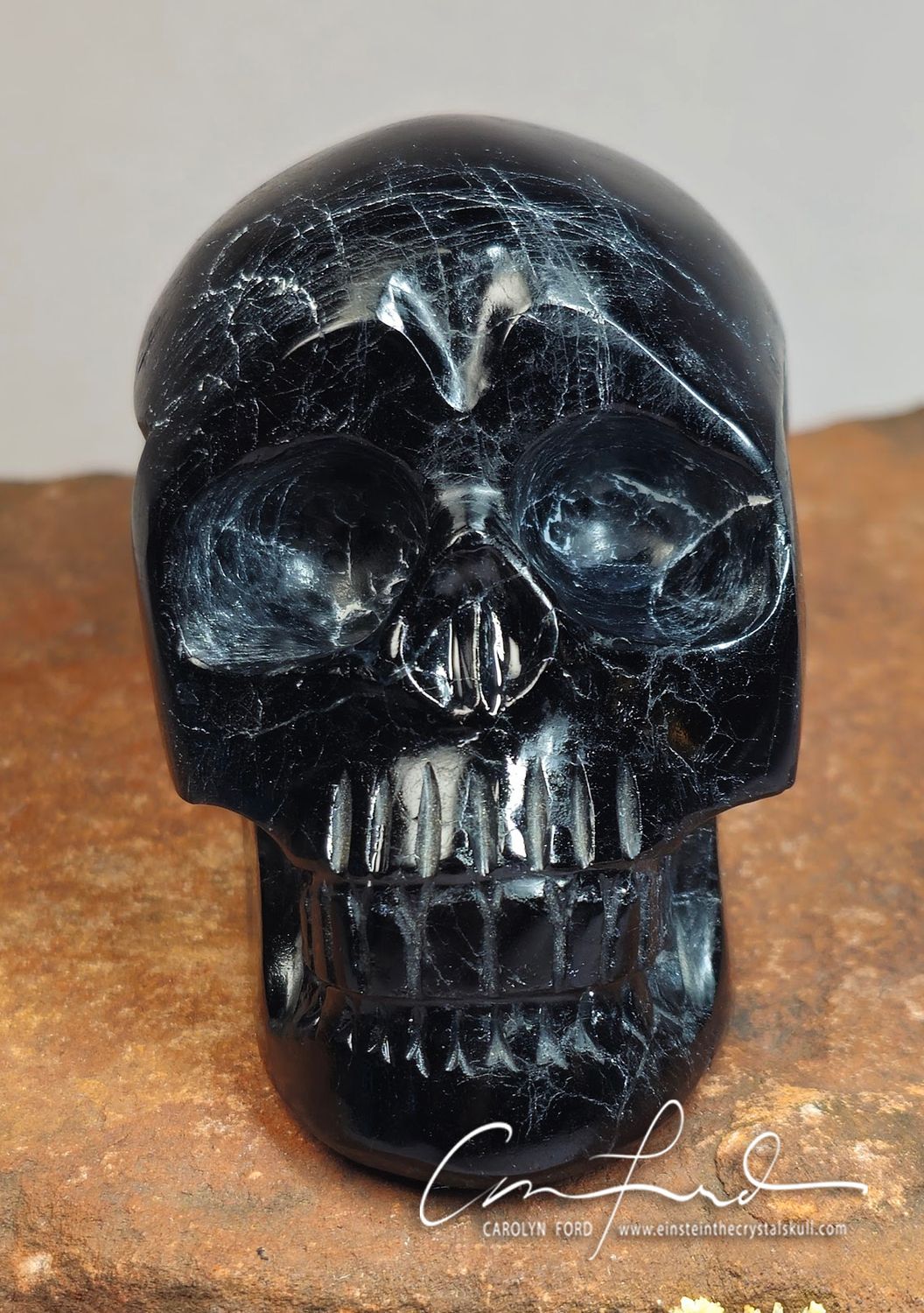 BLACK TOURMALINE, Einstein Imprinted Skull - "HALO"