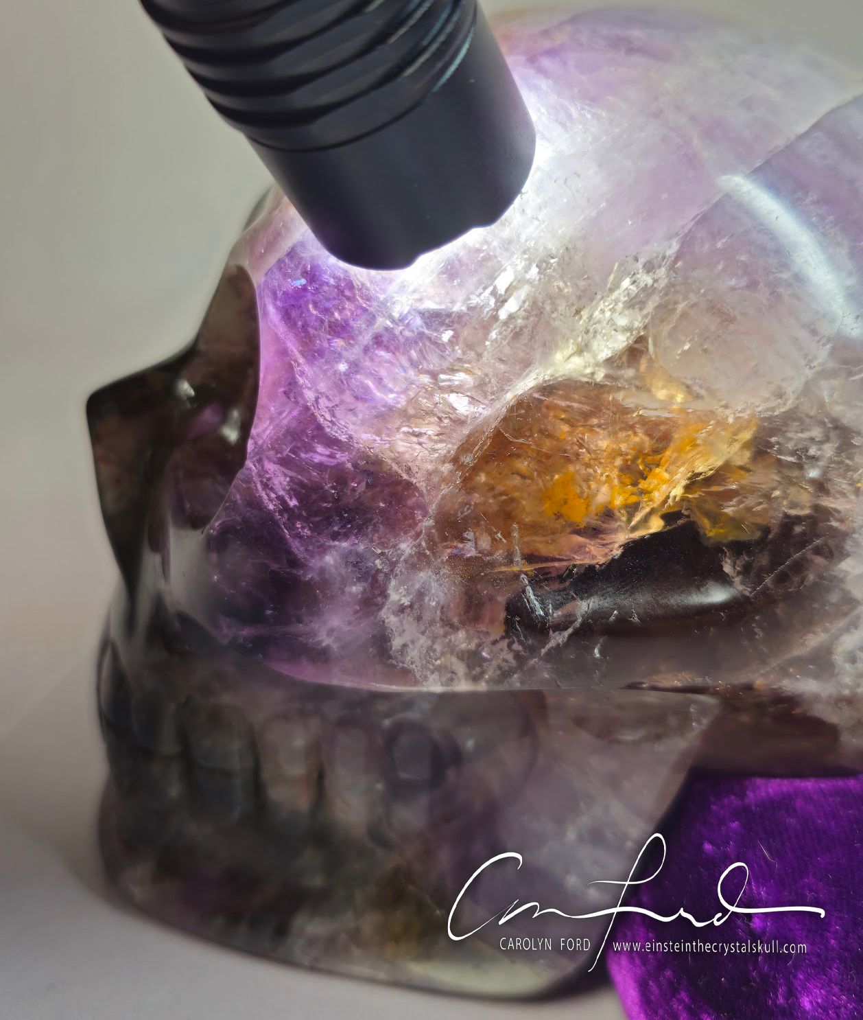 "Super 7" Skull, Einstein Imprinted  "ASTARIA".