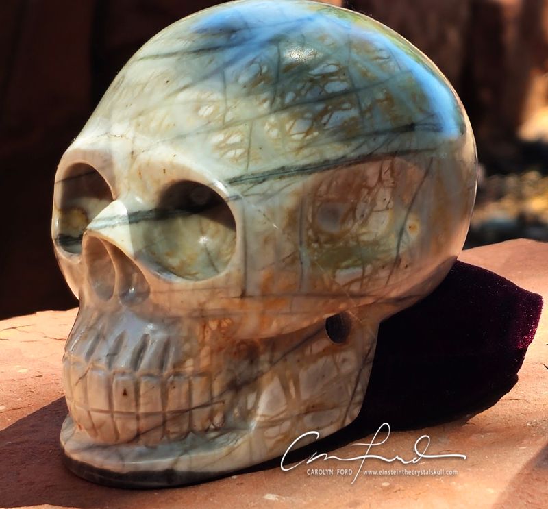 Picasso Jasper, Baby Einstein Imprinted Skull,  "NIRVANNA"