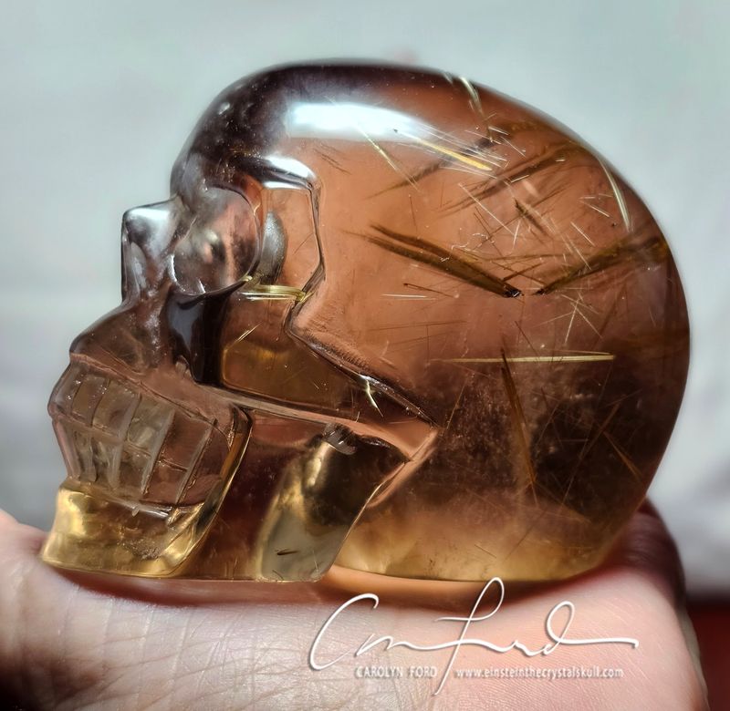 Gold Rutilated Smokey Citrine Crystal Skull, Einstein Imprinted,   Gold Rutilated Smokey Citrine Crystal Skull, Einstein Imprinted,  "RUMI"