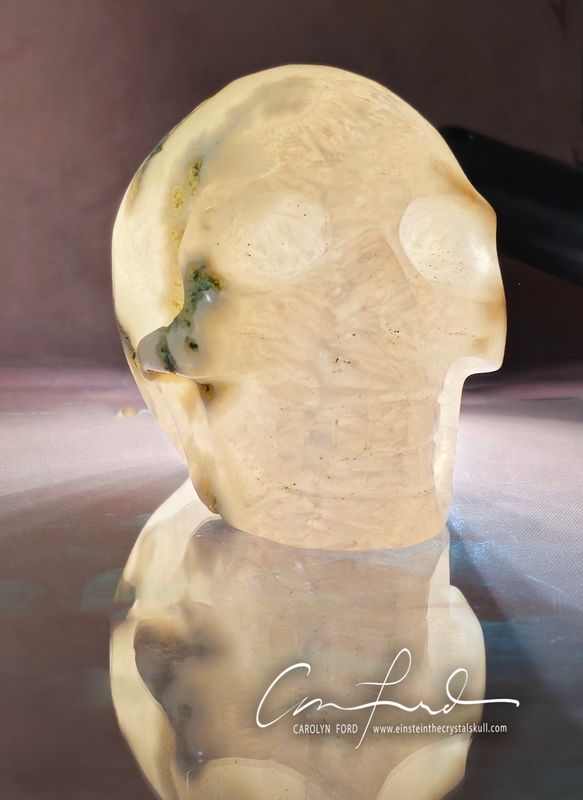 Moss Agate Skull,  Einstein the Ancient Crystal  Skull Imprinted "AJA"