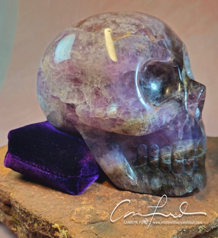 BABY EINSTEIN, Large - Imprinted, BABY EINSTEIN, Large - Imprinted, "Super 7" Skull "VIOLET HEART"