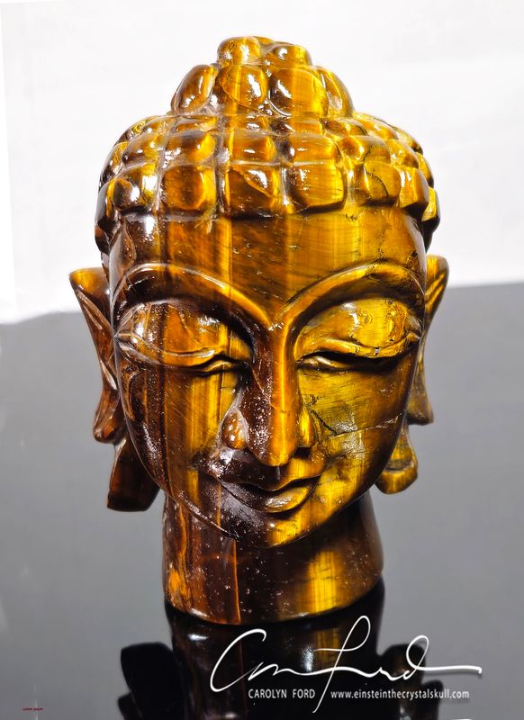 Tiger Eye BUDDHA, Einstein Imprinted