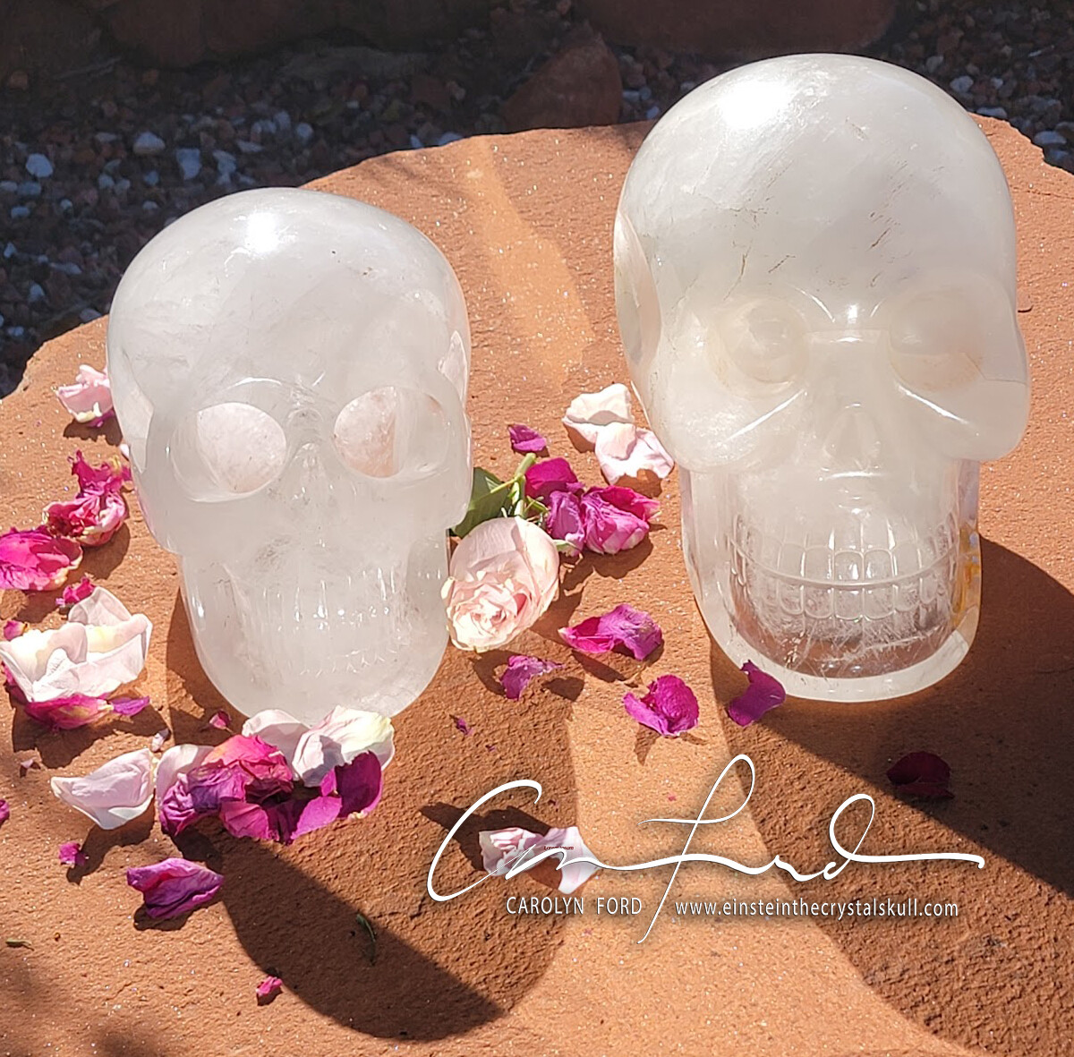 HOLLOW Quartz Crystal Skull, Einstein Imprinted "QUEEN"