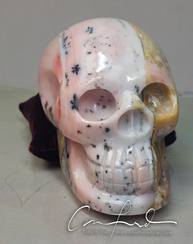 PINK OPAL , Baby Einstein Imprinted Skull - "LOVELACE"