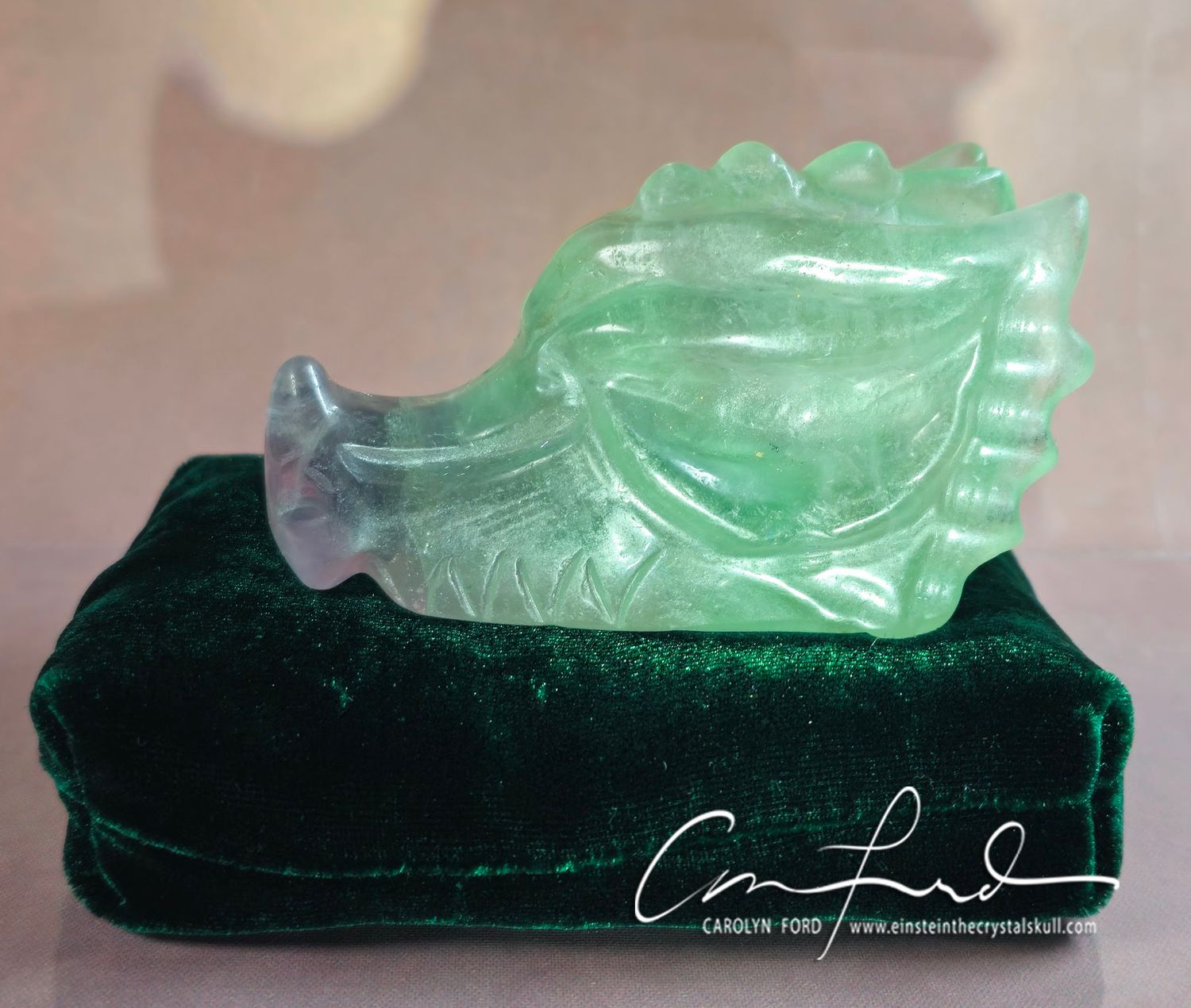 Green / Violet Fluorite , Einstein Imprinted Dragon Skull "AYLA"