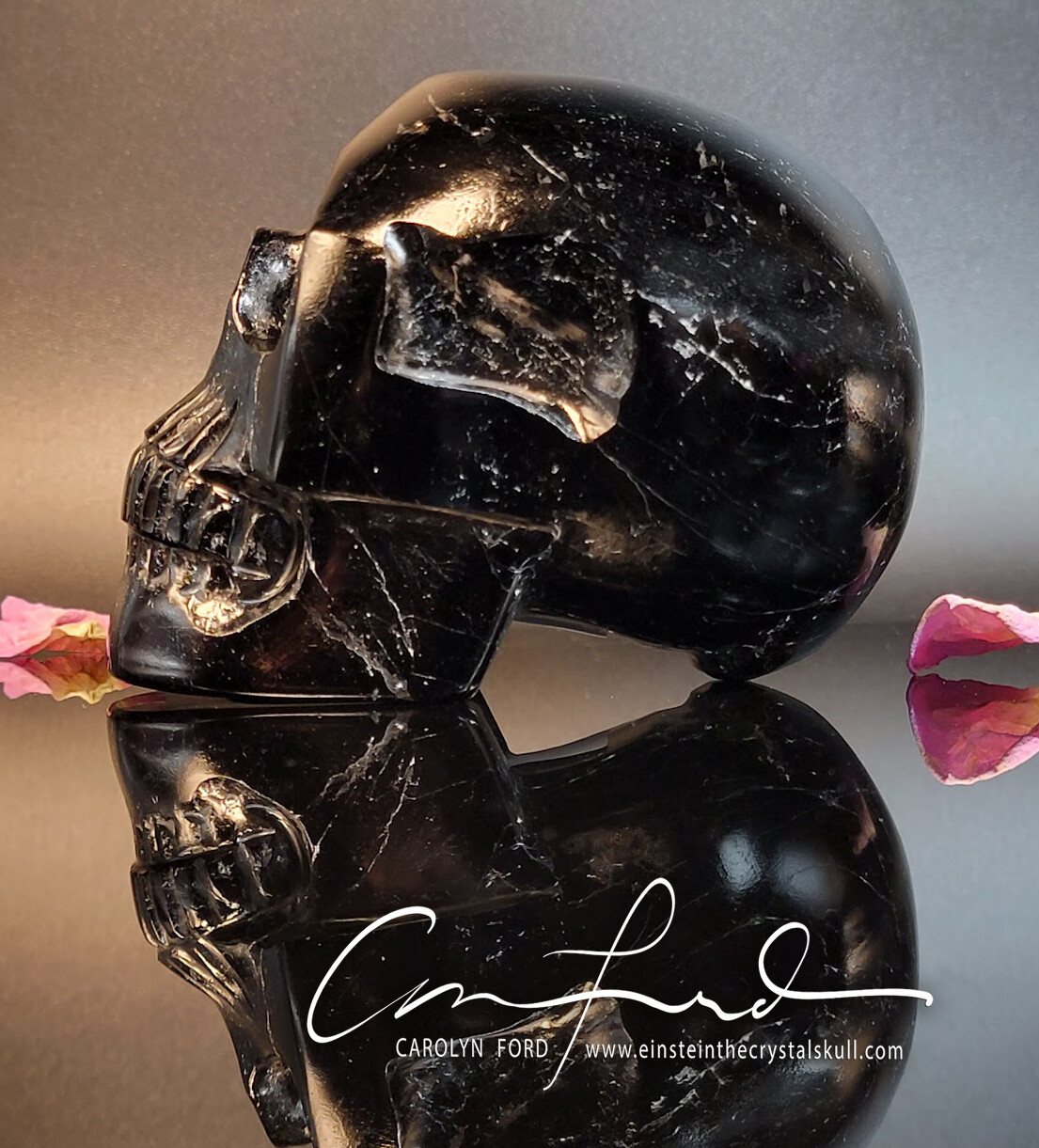 BLACK TOURMALINE, Einstein Imprinted Skull - "RIDER"