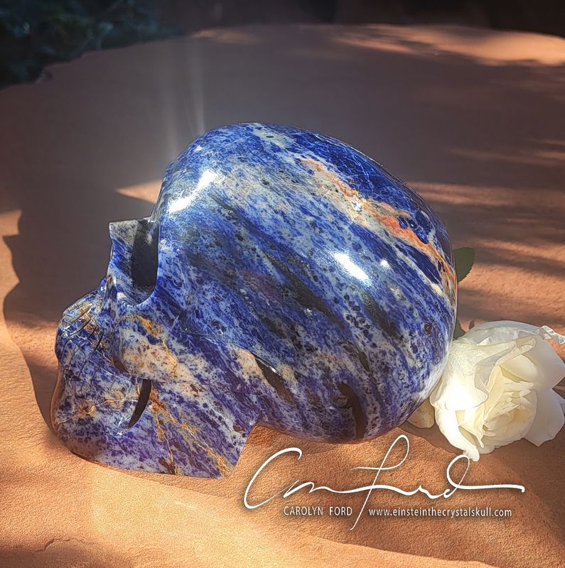 SODALITE ~Skull, Einstein Imprinted,  "COSMIC OCEAN"