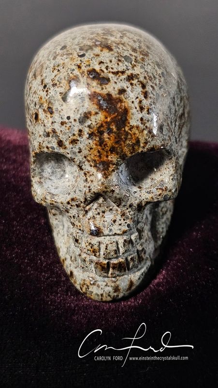 METEORITE,  L6-Chondrite, rare. from Lybia. Einstein Imprinted Skull, "NOVA"