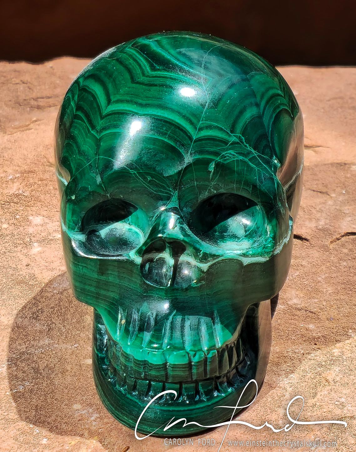 MALACHITE / Chrysocolla Skull Einstein Imprinted ~ "Lil' ELF"
