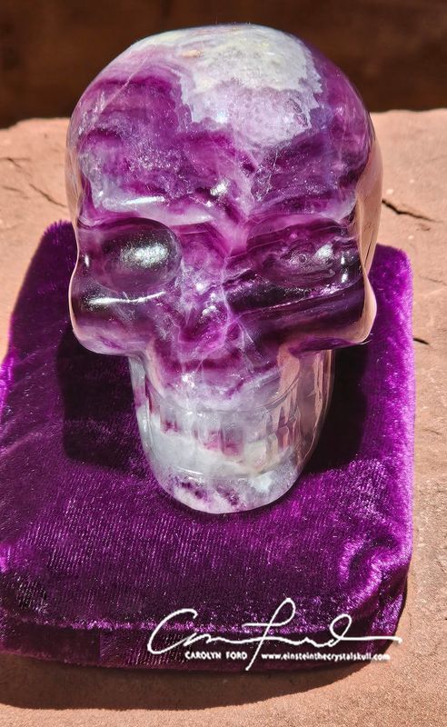 Violet, Indigo Fluorite , Skull, Einstein Imprinted "VIOLET BLOOM"