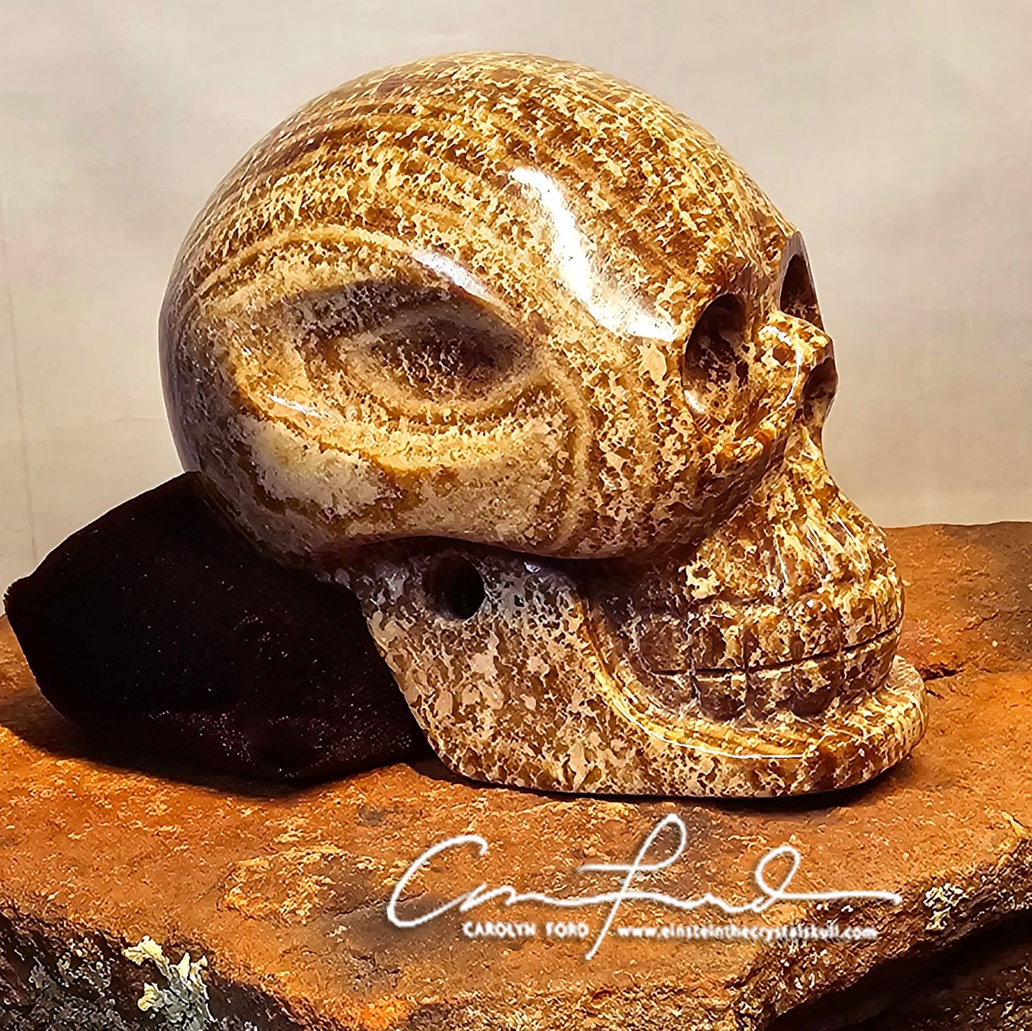 BABY EINSTEIN ~ Brown Aragonite Skull, Einstein Imprinted, "SOUL"
