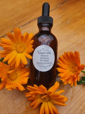 Chamomile &amp; Calendula Oil 100ml
