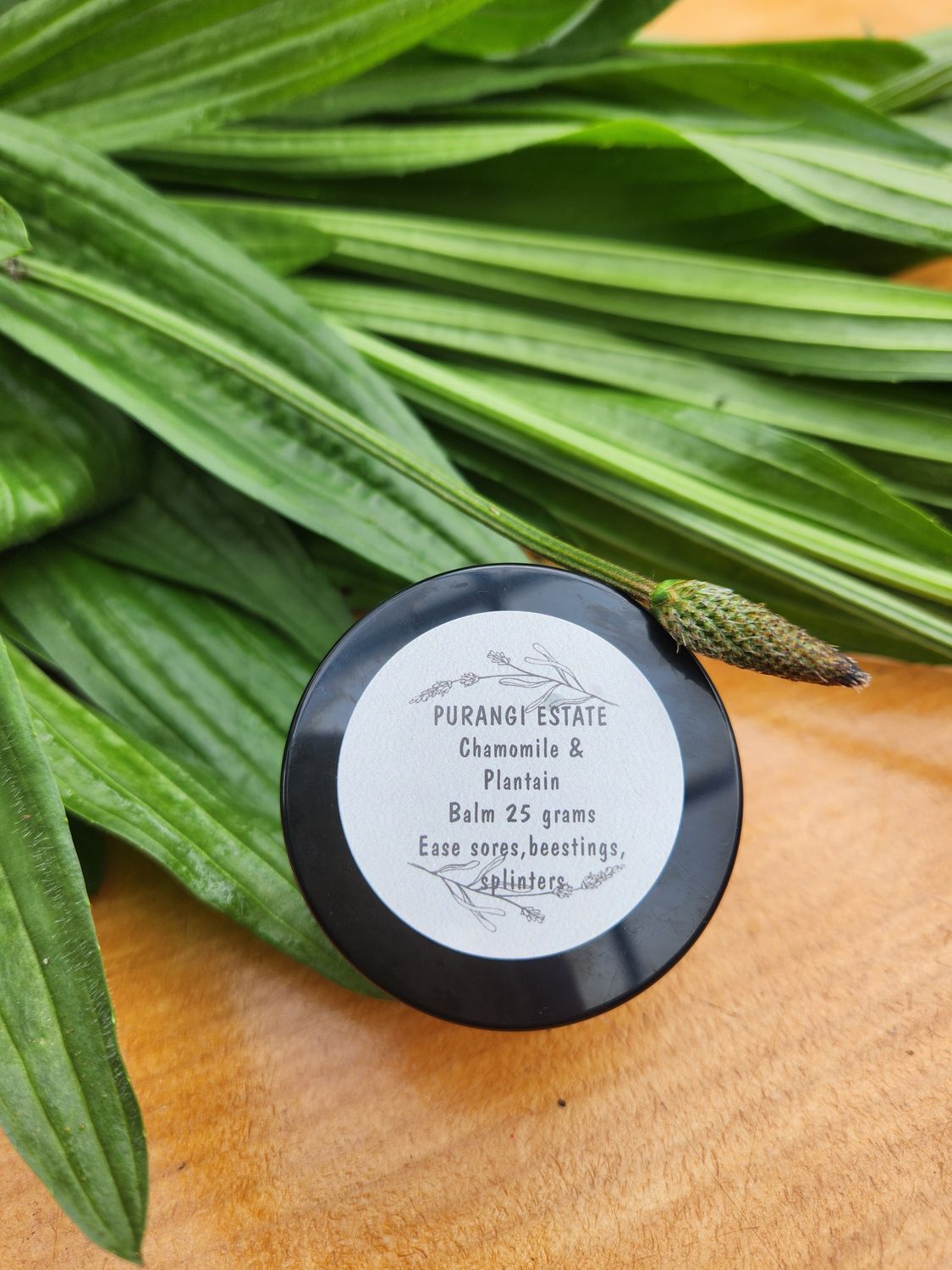 Chamomile &amp; Plantain Balm 25g