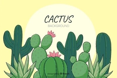 7.5cm Cactus