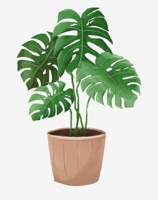 Odds &amp; Plants