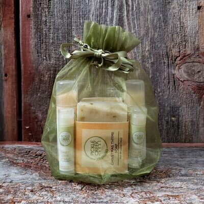 Christmas Favorites Gift Bag Christmas Favorites Gift Bag